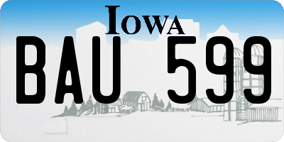 IA license plate BAU599