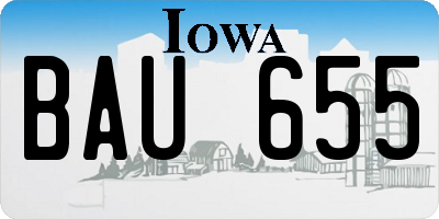 IA license plate BAU655