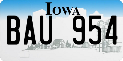IA license plate BAU954