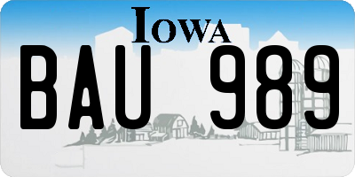 IA license plate BAU989