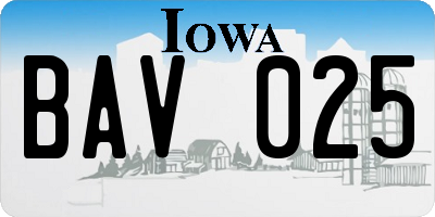 IA license plate BAV025