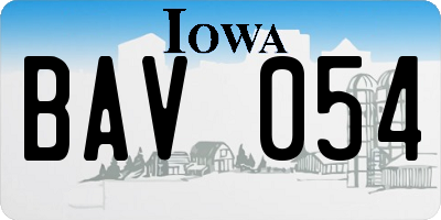 IA license plate BAV054