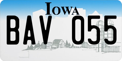 IA license plate BAV055
