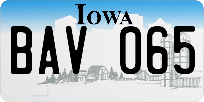 IA license plate BAV065