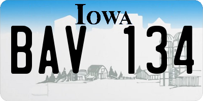 IA license plate BAV134