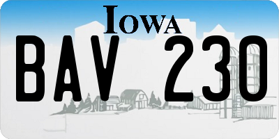 IA license plate BAV230
