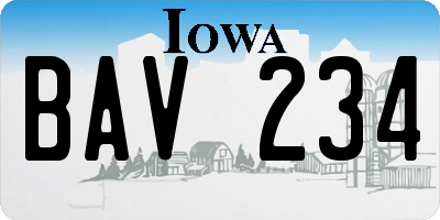 IA license plate BAV234