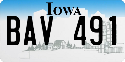 IA license plate BAV491