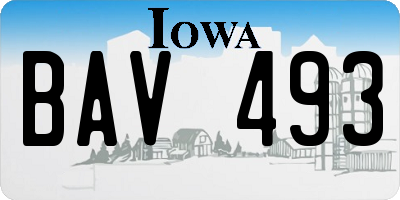 IA license plate BAV493