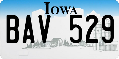 IA license plate BAV529