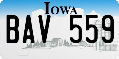 IA license plate BAV559