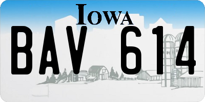 IA license plate BAV614
