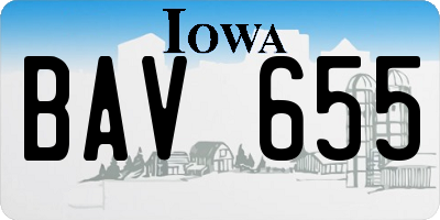 IA license plate BAV655
