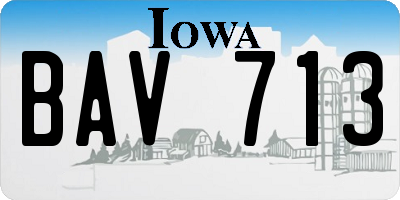 IA license plate BAV713