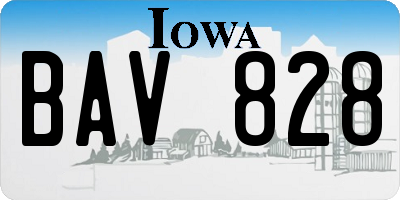 IA license plate BAV828