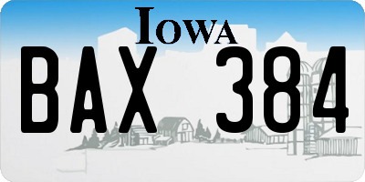 IA license plate BAX384