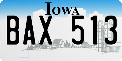 IA license plate BAX513