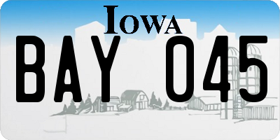 IA license plate BAY045