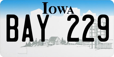 IA license plate BAY229