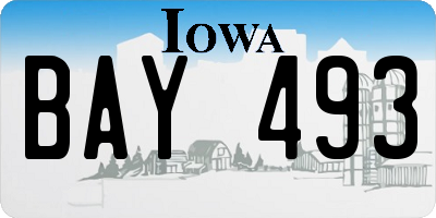 IA license plate BAY493