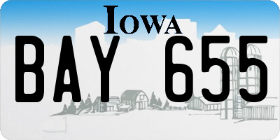 IA license plate BAY655