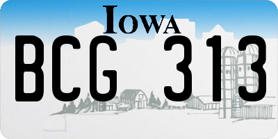 IA license plate BCG313