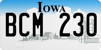 IA license plate BCM230
