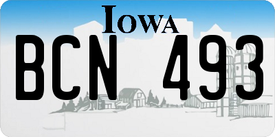 IA license plate BCN493