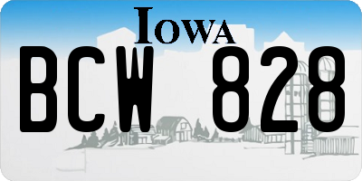 IA license plate BCW828