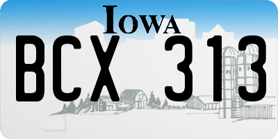 IA license plate BCX313