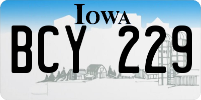 IA license plate BCY229
