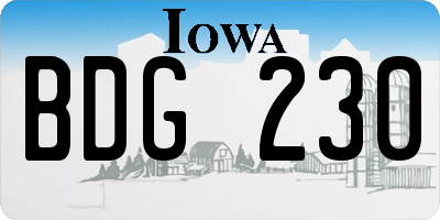 IA license plate BDG230