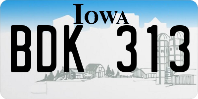 IA license plate BDK313