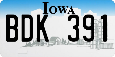 IA license plate BDK391