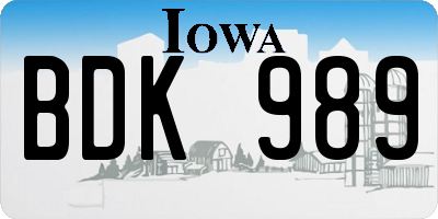 IA license plate BDK989