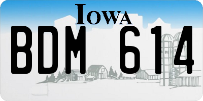 IA license plate BDM614