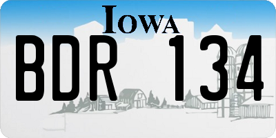 IA license plate BDR134