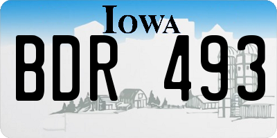 IA license plate BDR493