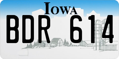 IA license plate BDR614