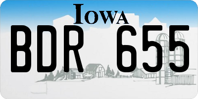 IA license plate BDR655