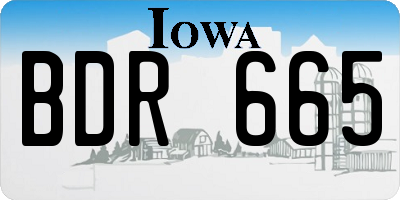 IA license plate BDR665