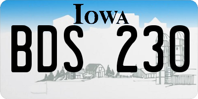 IA license plate BDS230