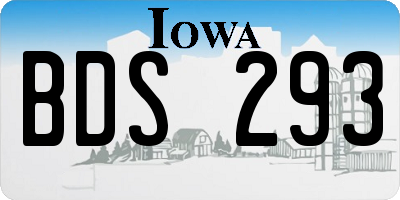 IA license plate BDS293