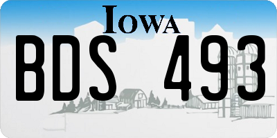 IA license plate BDS493