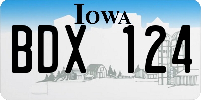 IA license plate BDX124