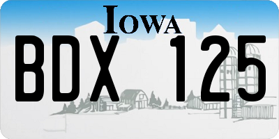 IA license plate BDX125