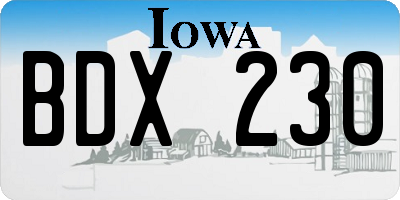 IA license plate BDX230