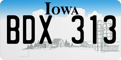 IA license plate BDX313