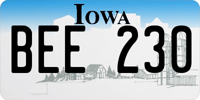 IA license plate BEE230