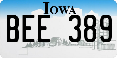 IA license plate BEE389
